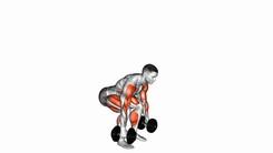 Dumbbell Clean